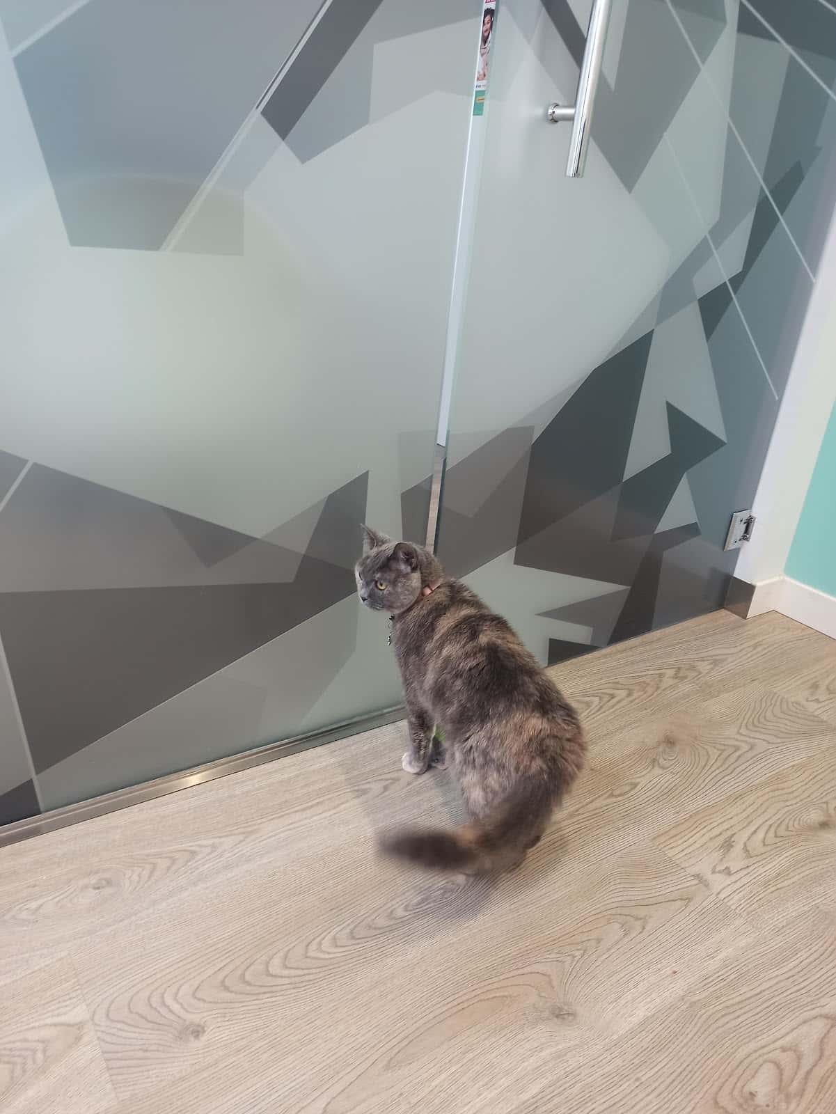 Centro Veterinario Cachón