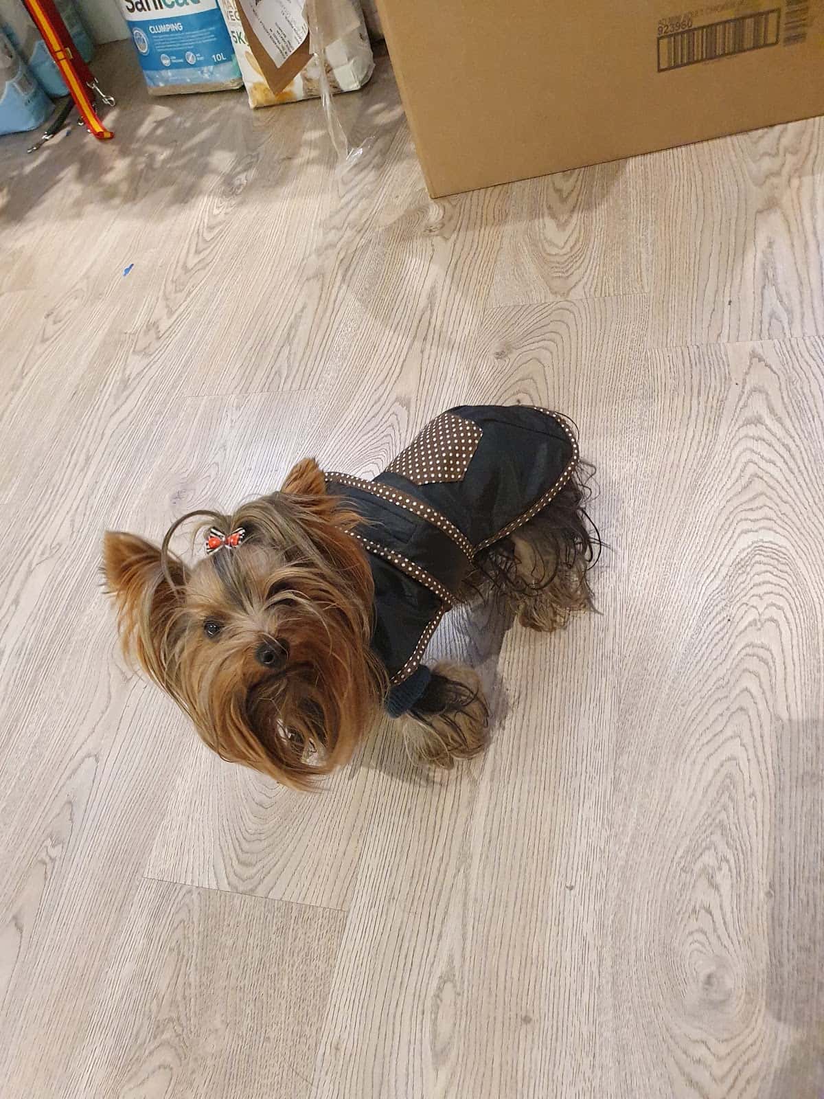 Centro Veterinario Cachón