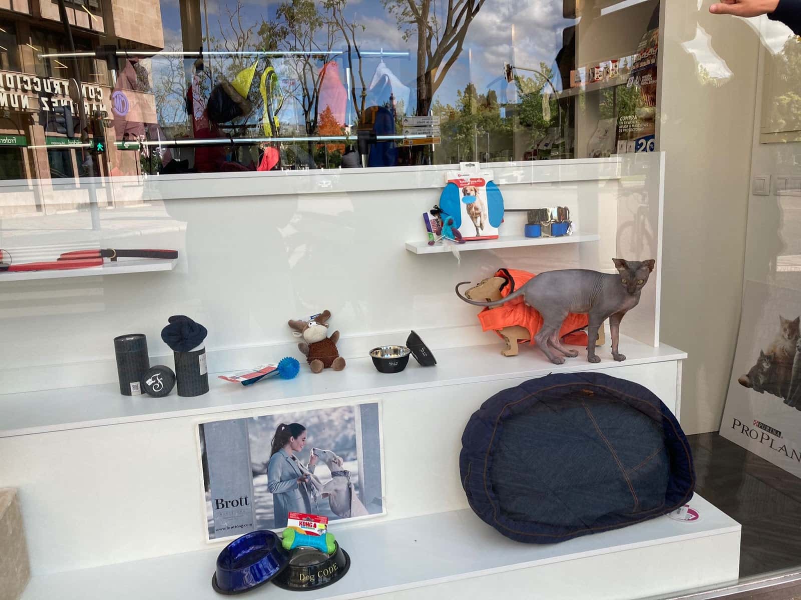 San Marcos Clínica Veterinaria
