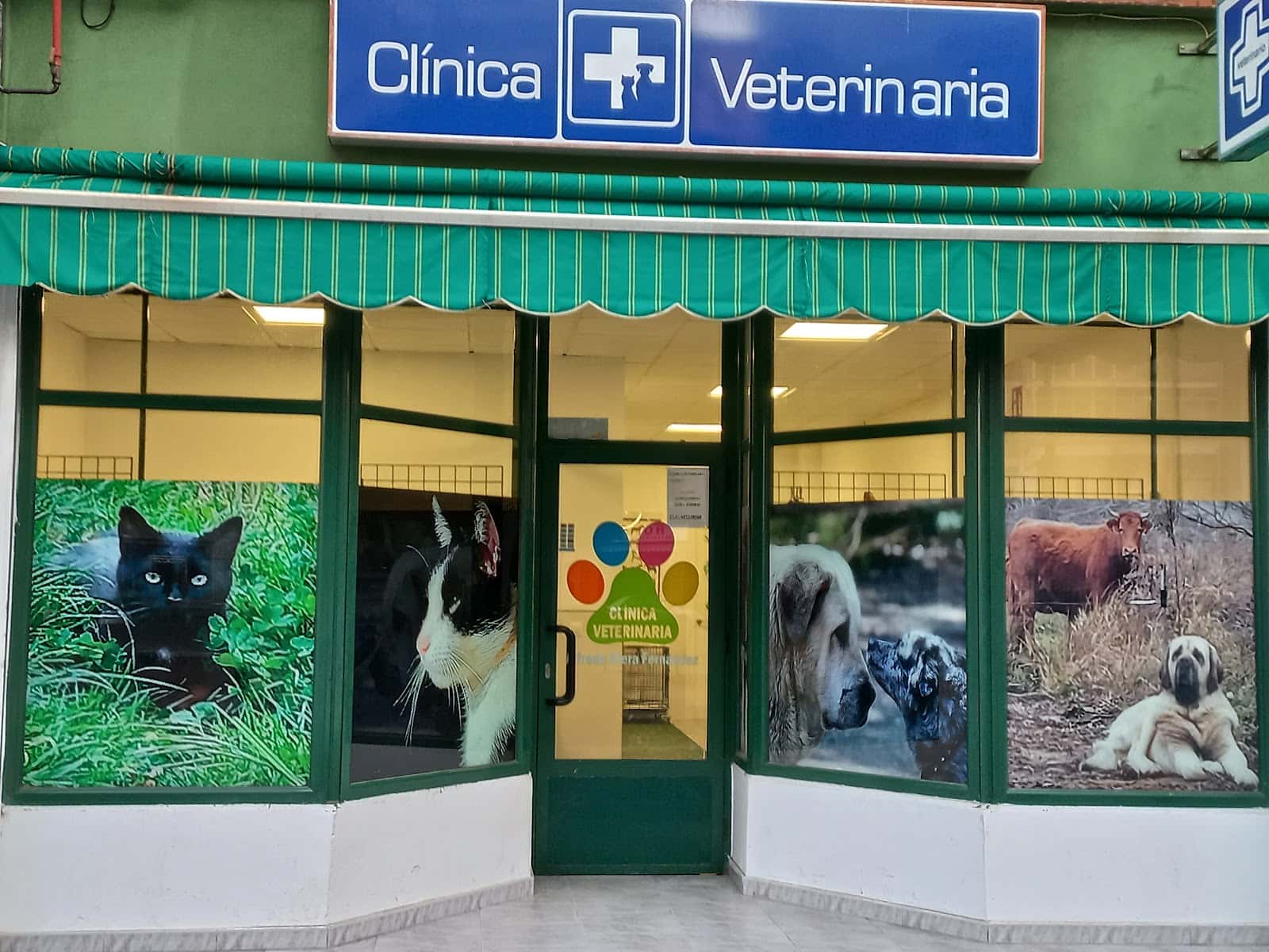 veterinario alfredo riera veterinario centro en trobajo del camino en leon principalImage ADOPTA Sitios Pet Friendly