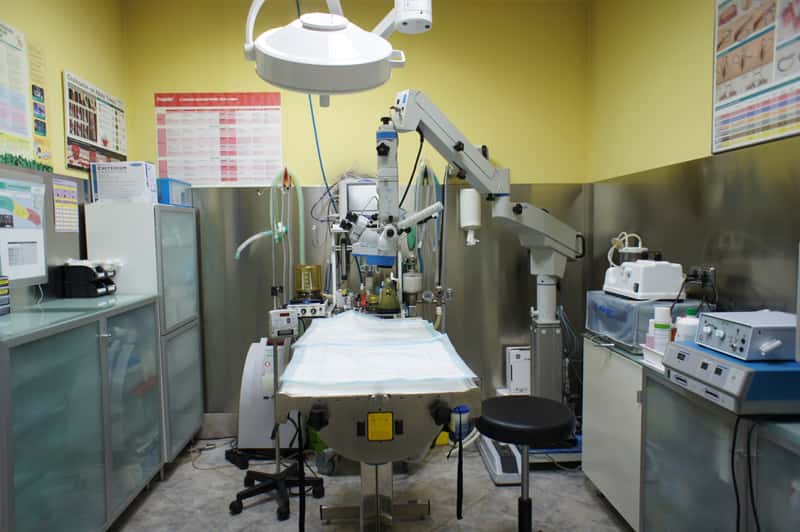 Clinica Veterinaria Trepalio