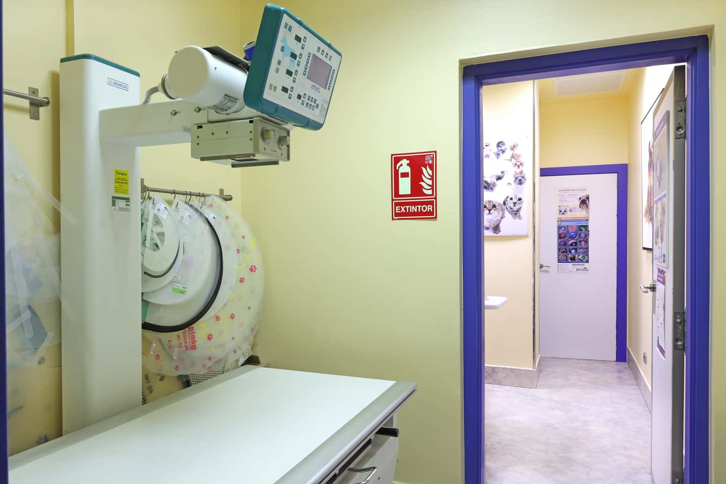 Clinica Veterinaria Trepalio