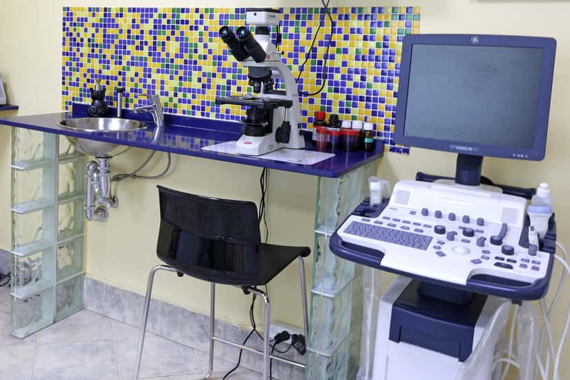 Clinica Veterinaria Trepalio