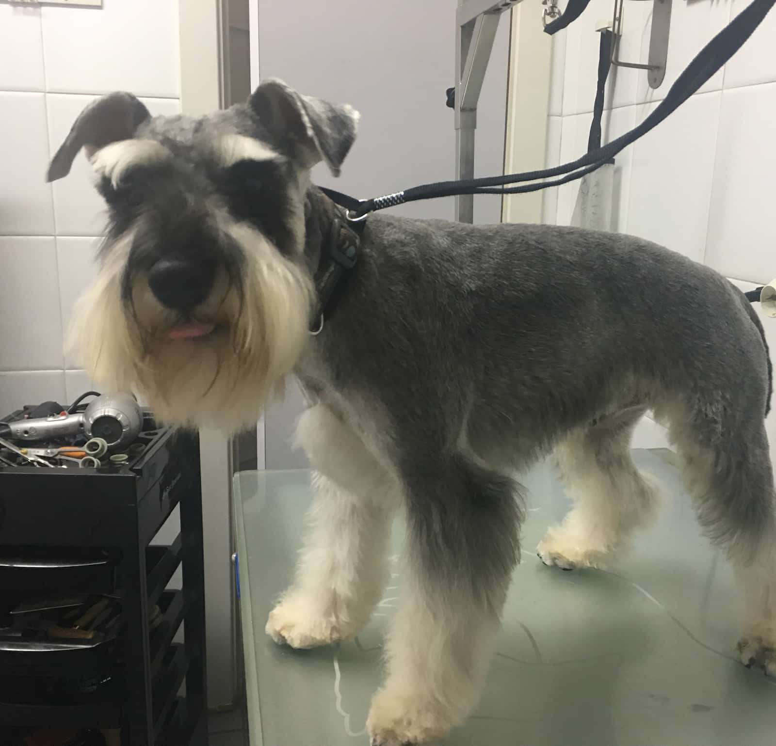 Clínica Veterinaria Eras