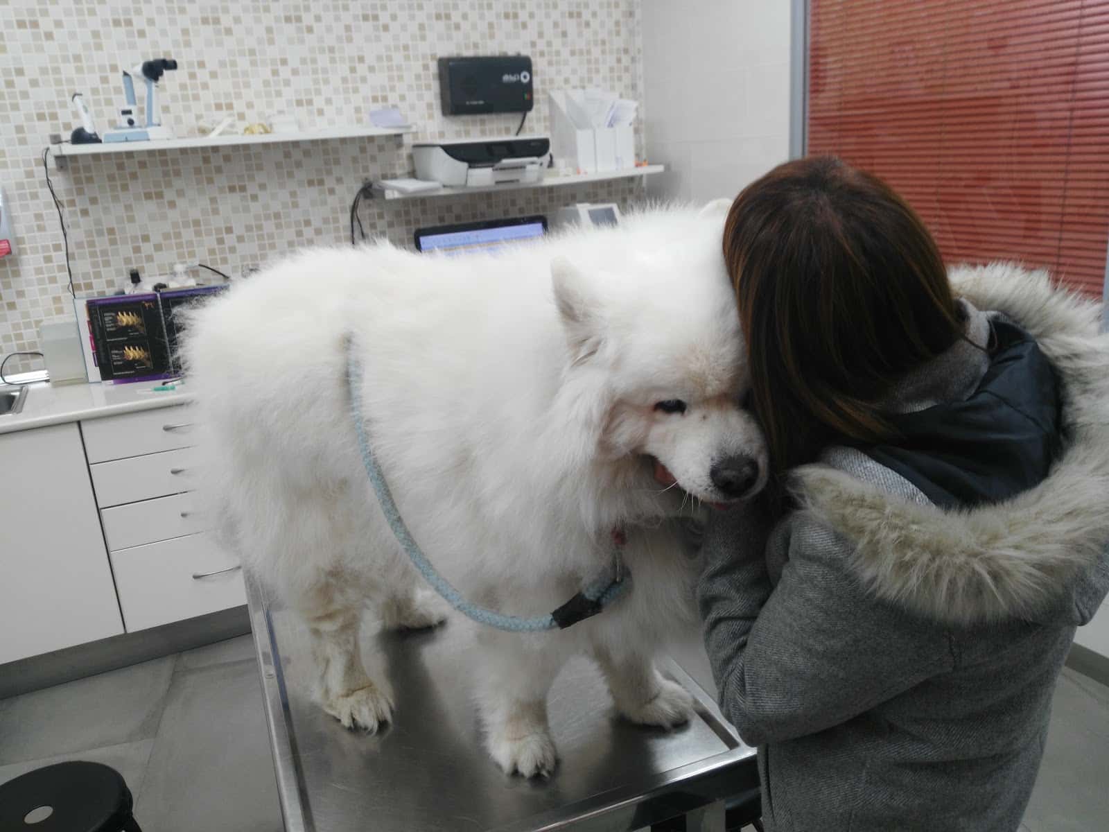 Clínica Veterinaria Navatejera