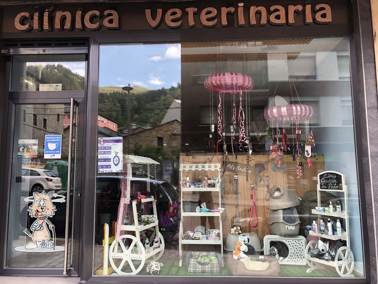 clinica veterinaria elena alonso veterinario clinica en villablino en leon principalImage ADOPTA Sitios Pet Friendly
