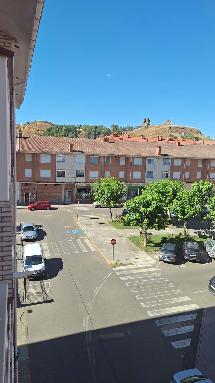centro veterinario saldana   servivet veterinario centro en saldana en palencia principalImage ADOPTA Sitios Pet Friendly