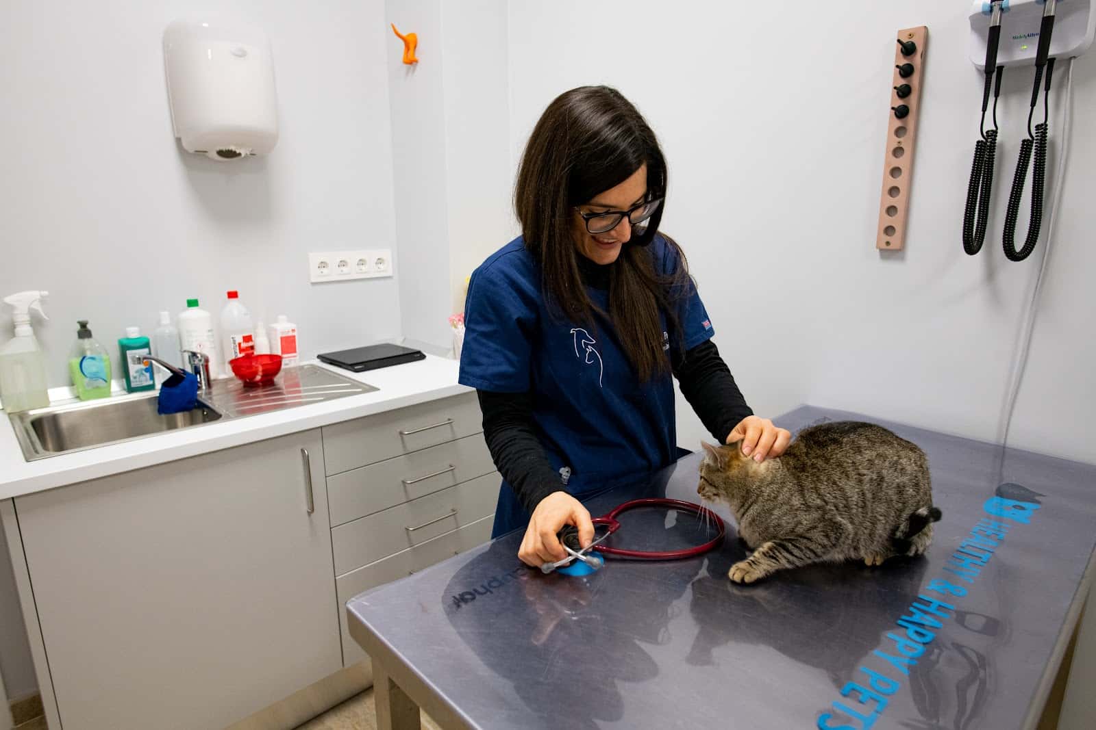 Clínica Veterinària Borges Vet