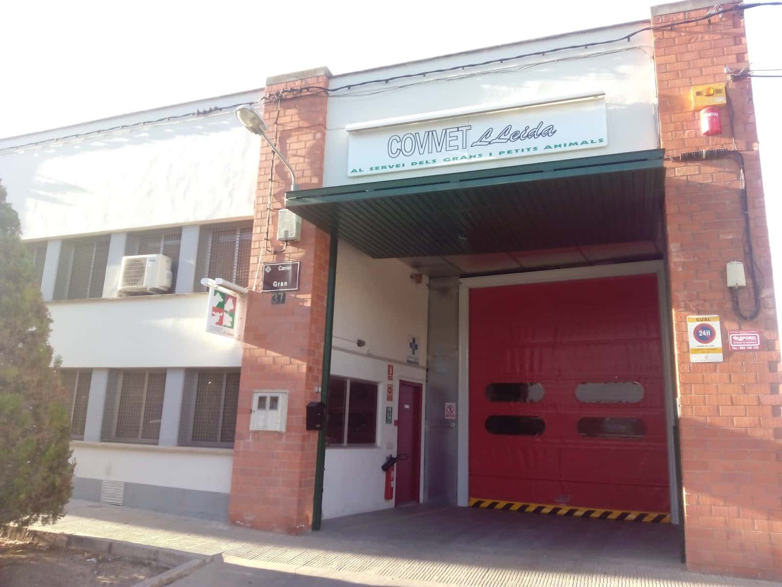 comercial vila veterinaria de lleida s l   covivet  veterinario centro barrio lleida en lleida en lleida principalImage ADOPTA Sitios Pet Friendly