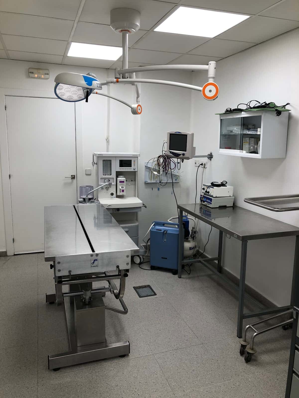 Clínica Veterinaria V3 Lleida