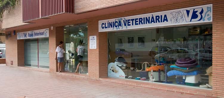 clinica veterinaria v3 lleida veterinario clinica barrio lerida en lerida en lerida principalImage ADOPTA Sitios Pet Friendly