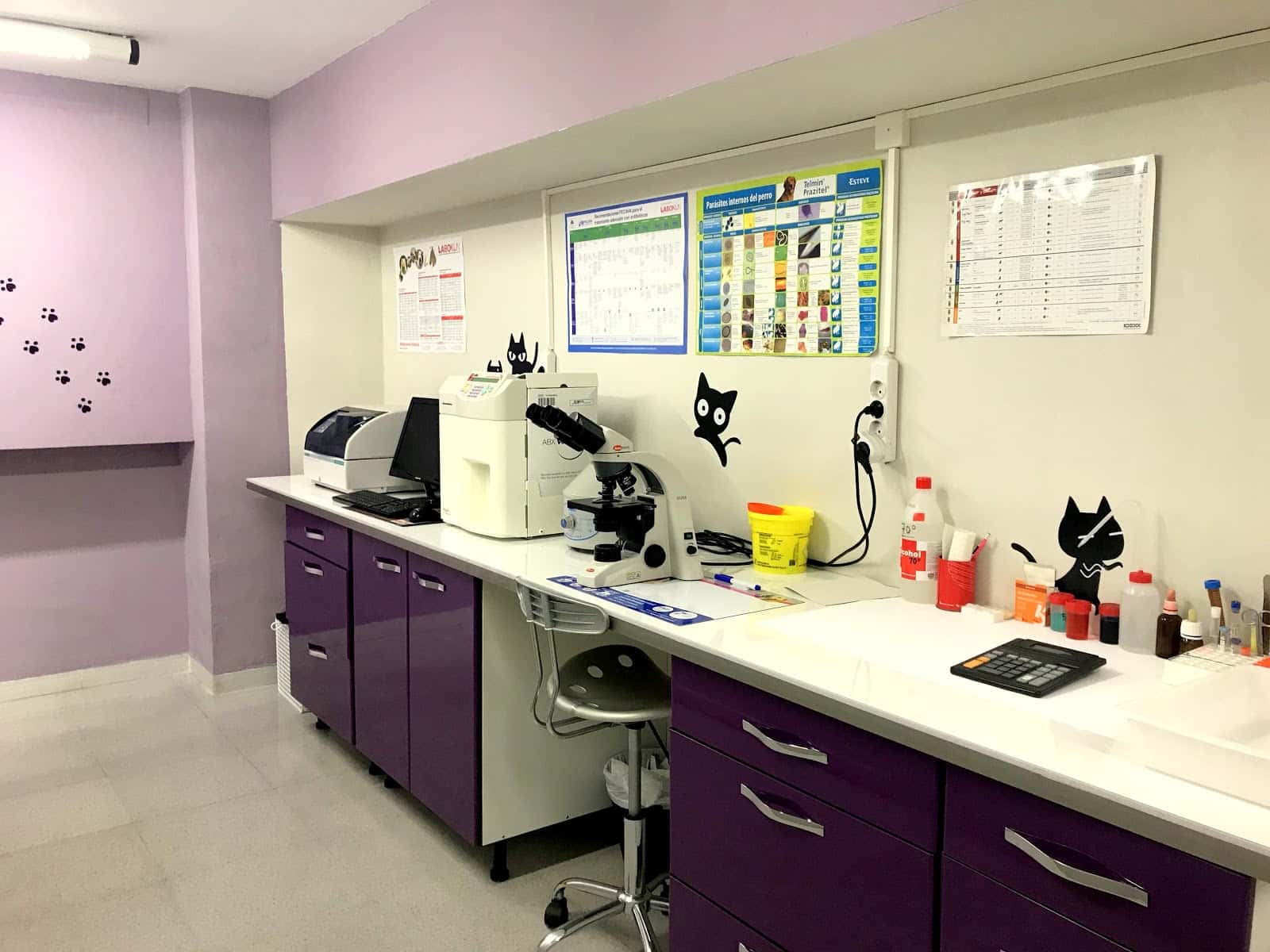 Clínica Veterinària Gospuntgat