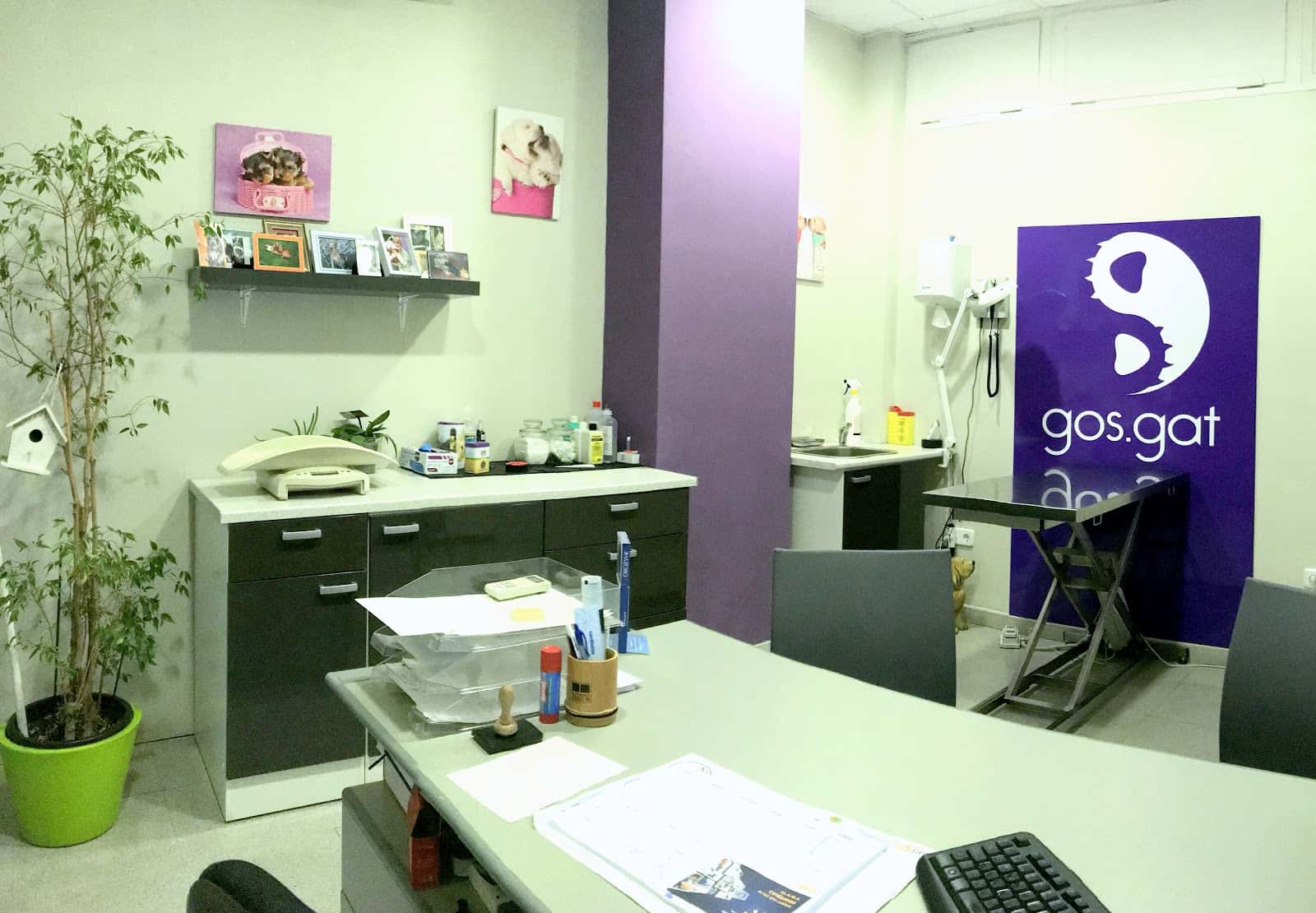clinica veterinaria gospuntgat veterinario clinica barrio lleida en lleida en lleida principalImage ADOPTA Sitios Pet Friendly