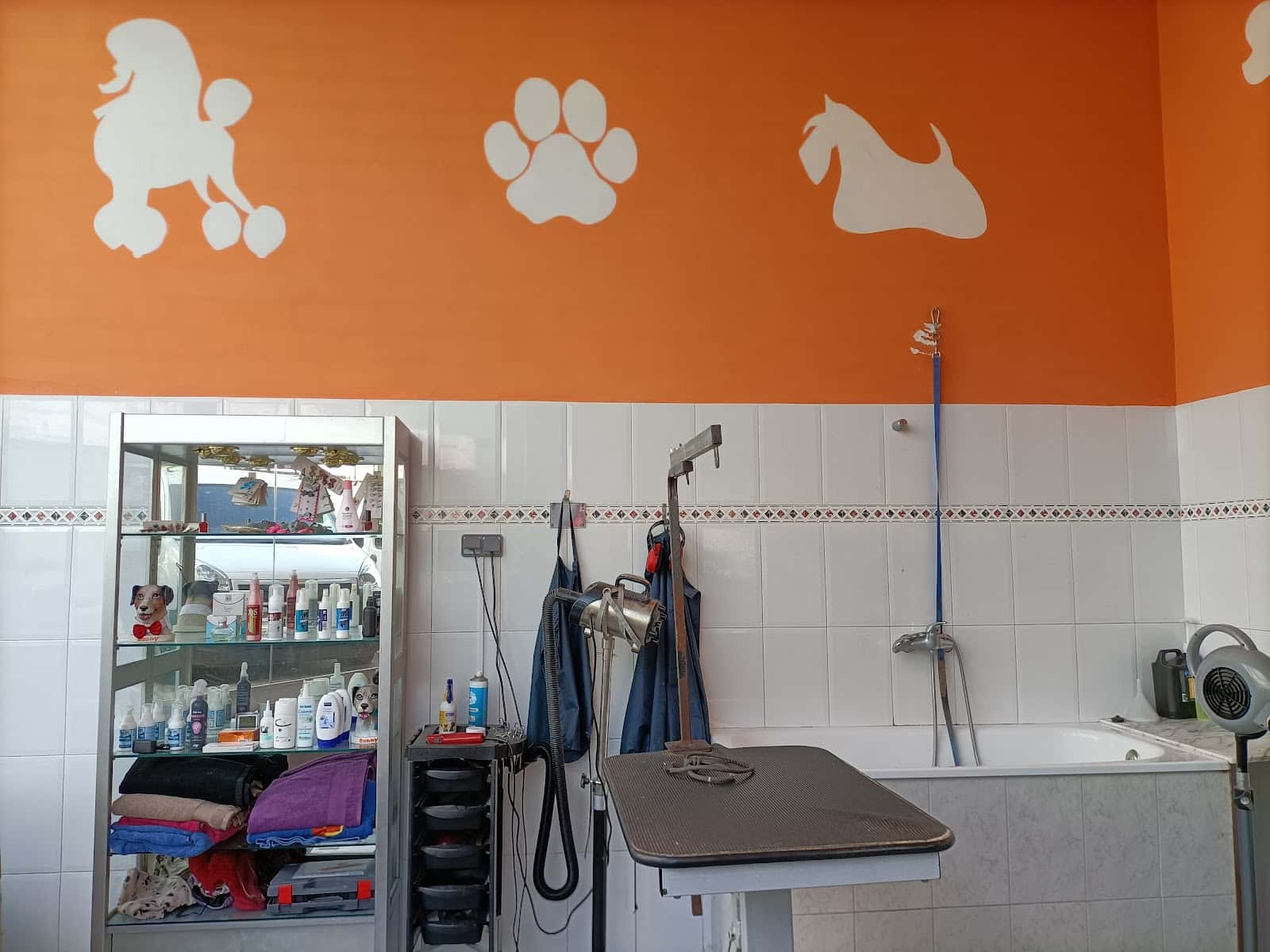 Hospital Veterinari de Mollerussa