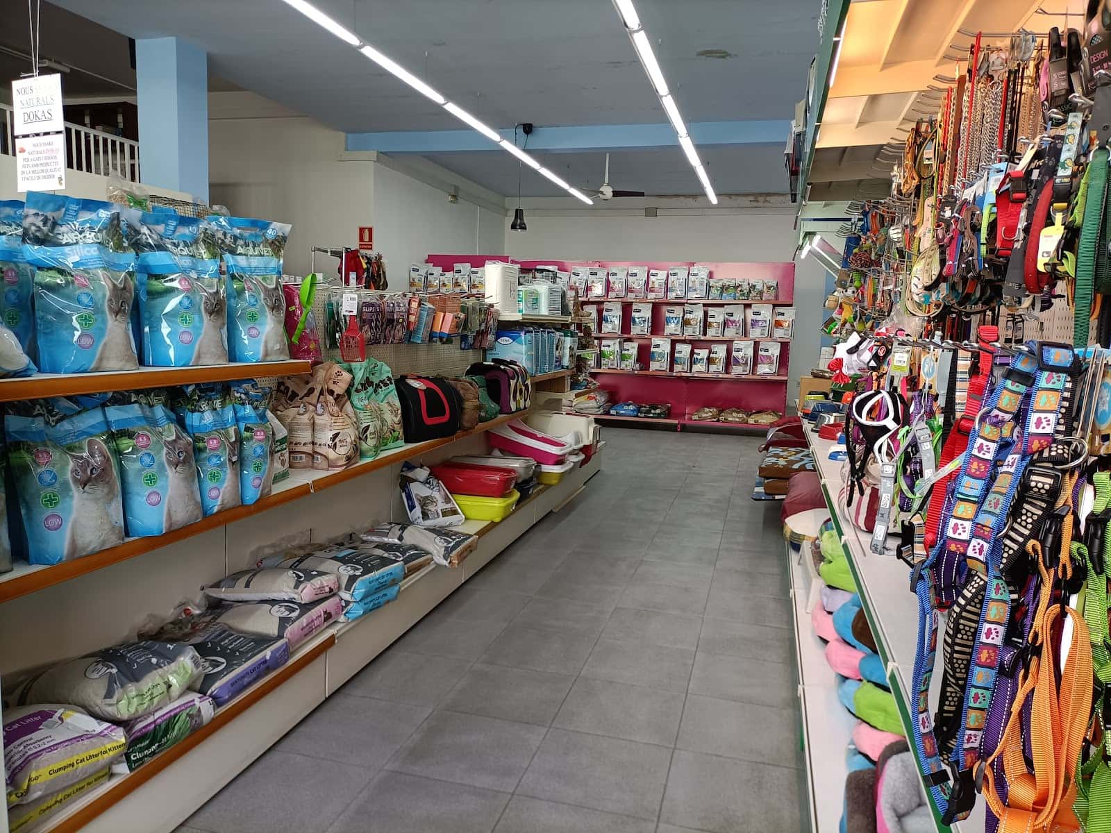 hospital veterinari de mollerussa veterinario hospital en mollerussa en lleida principalImage ADOPTA Sitios Pet Friendly