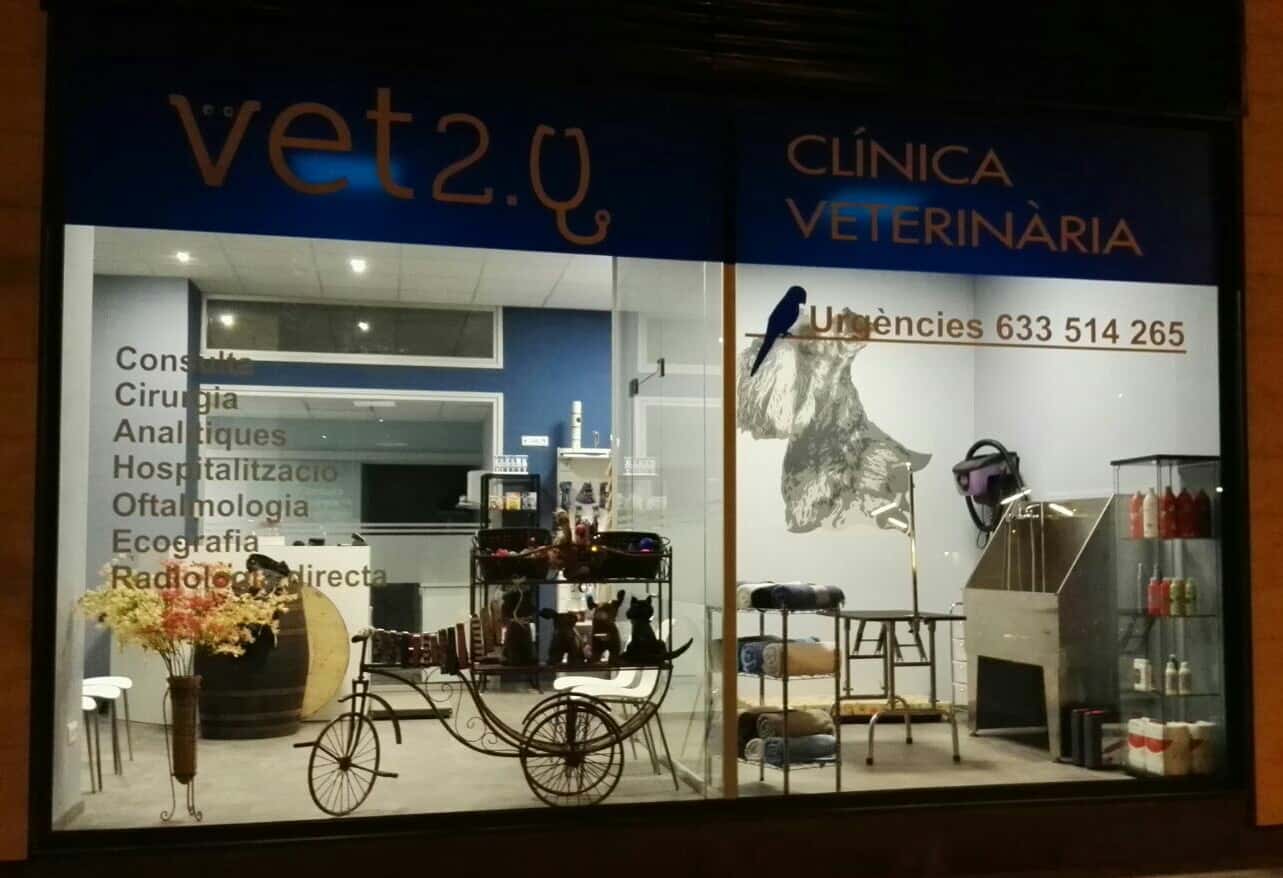 clinica veterinaria vet2 0 urg  24h veterinario clinica en balaguer en lerida principalImage ADOPTA Sitios Pet Friendly