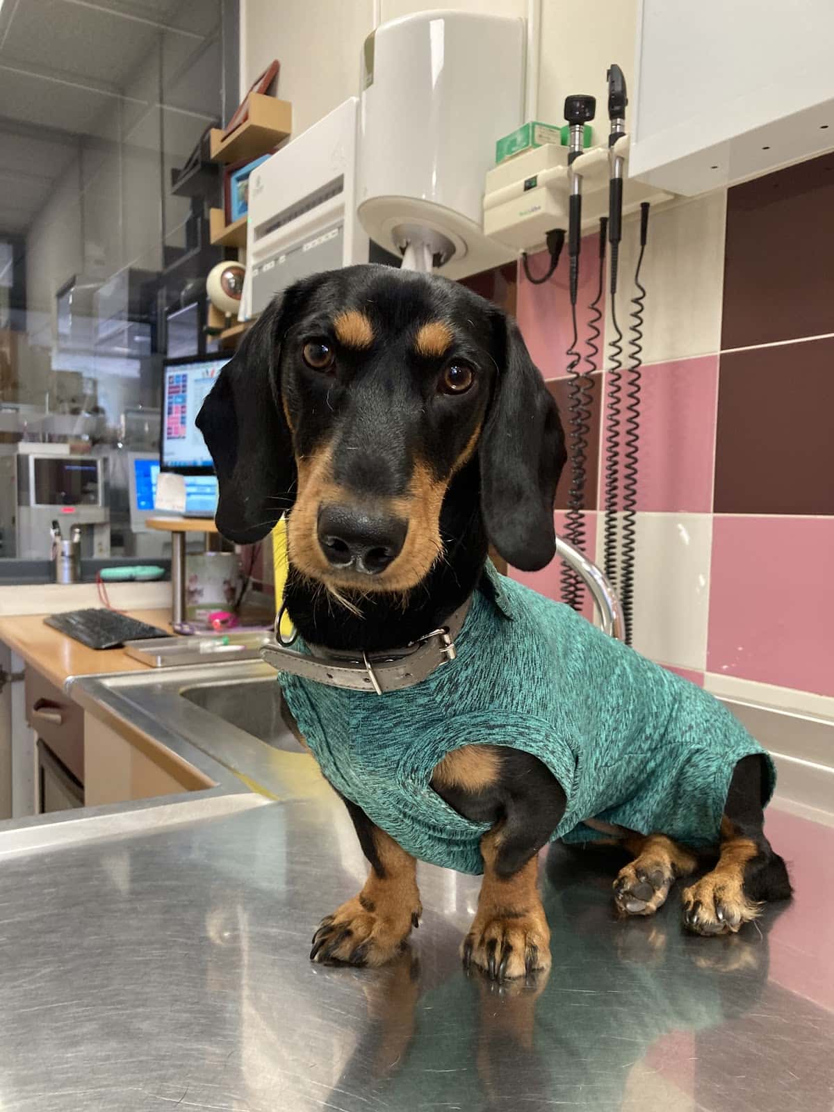 Clínica Veterinaria Navascues