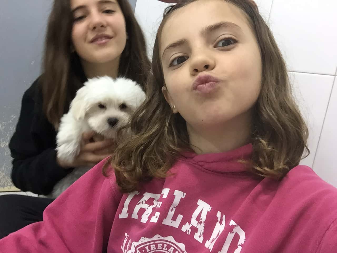 Clínica Veterinaria San Juan