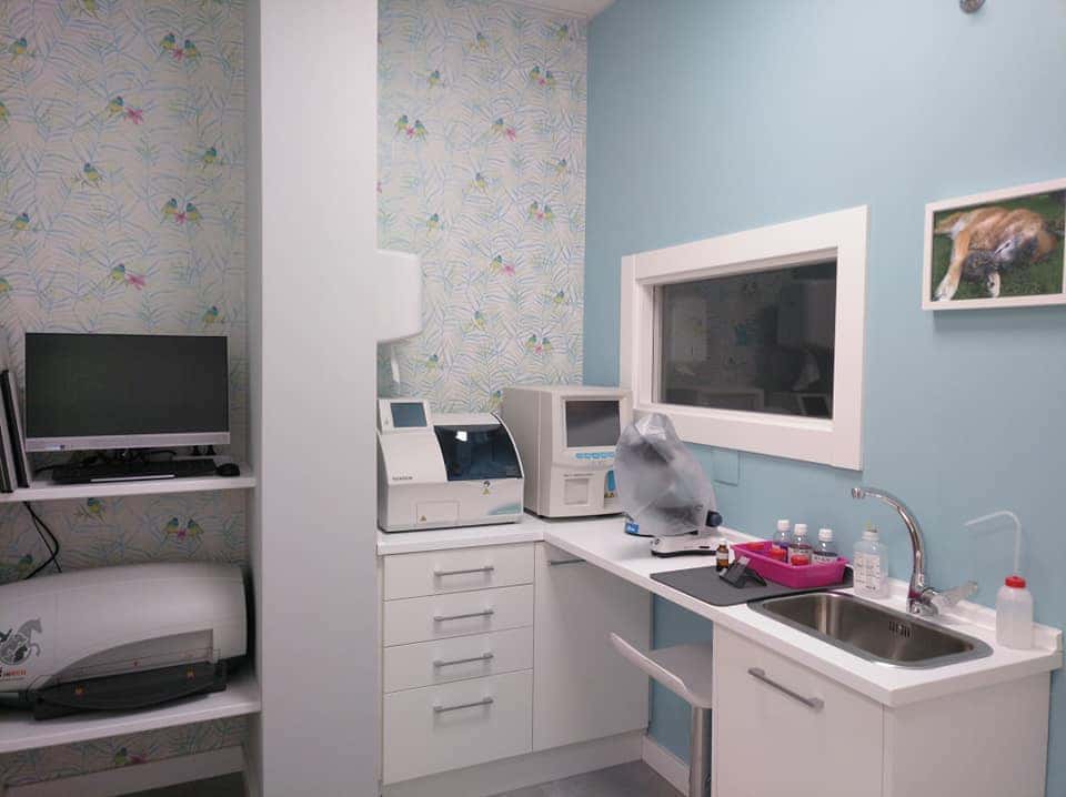 Centro Veterinario Autol