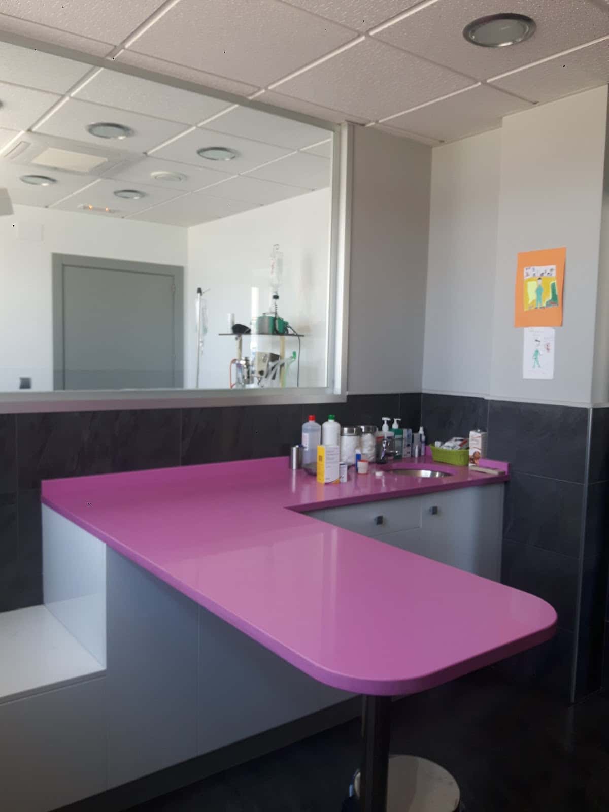 Clinica Veterinaria Arnedo Sociedad Limitada Profesional