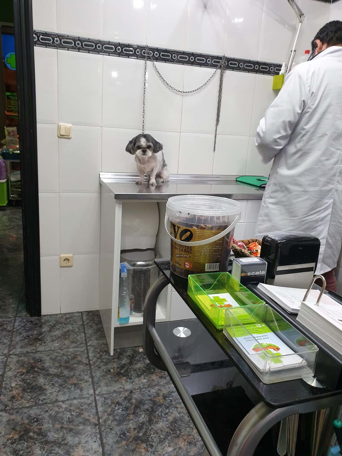 Alhama Veterinario