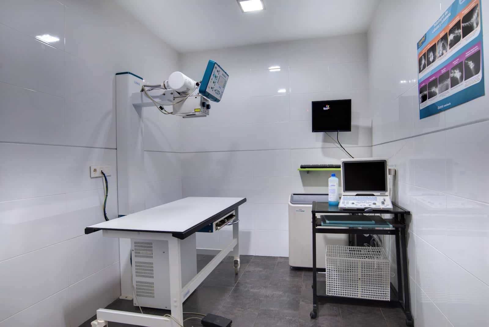 Clinica Veterinaria Ceres