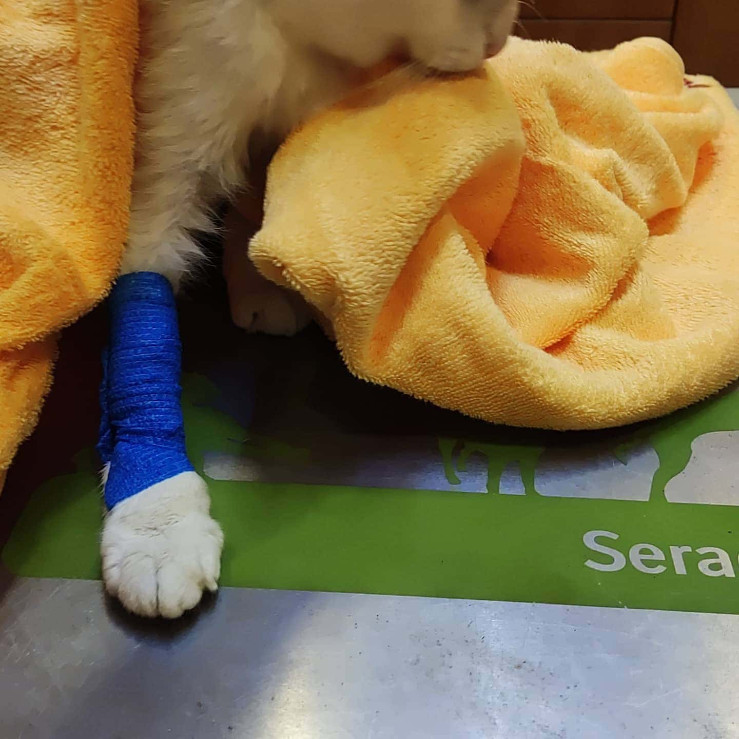 Centro Veterinario A Marosa