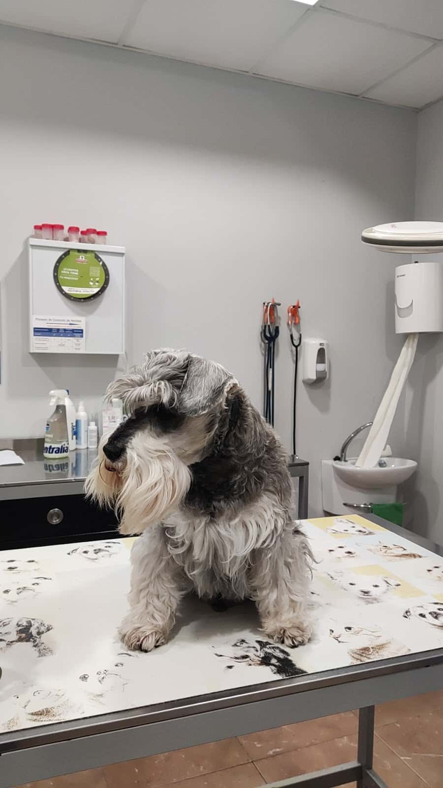 Clínica Veterinaria Foz