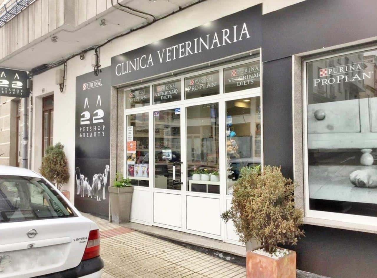 22 clinica veterinaria veterinario clinica en chantada en lugo principalImage ADOPTA Sitios Pet Friendly