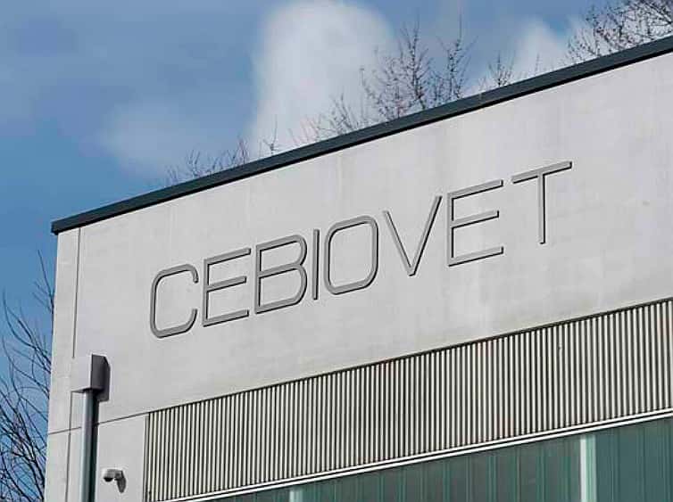 cebiovet veterinario centro barrio lugo en lugo en lugo principalImage ADOPTA Sitios Pet Friendly