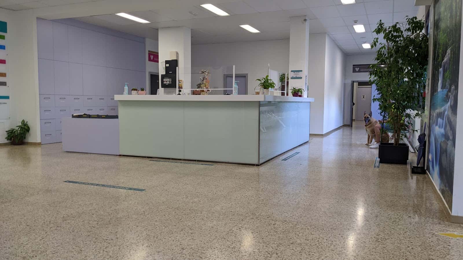 Hospital Veterinario Rof Codina