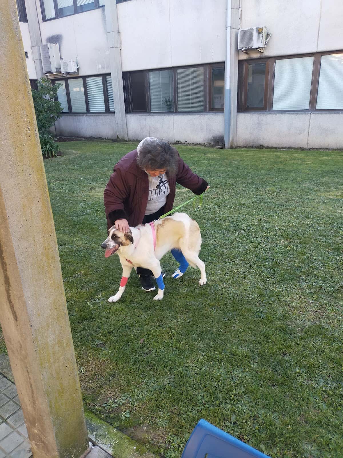 Hospital Veterinario Rof Codina