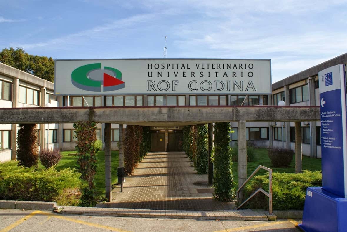 hospital veterinario rof codina veterinario hospital barrio lugo en lugo en lugo principalImage ADOPTA Sitios Pet Friendly