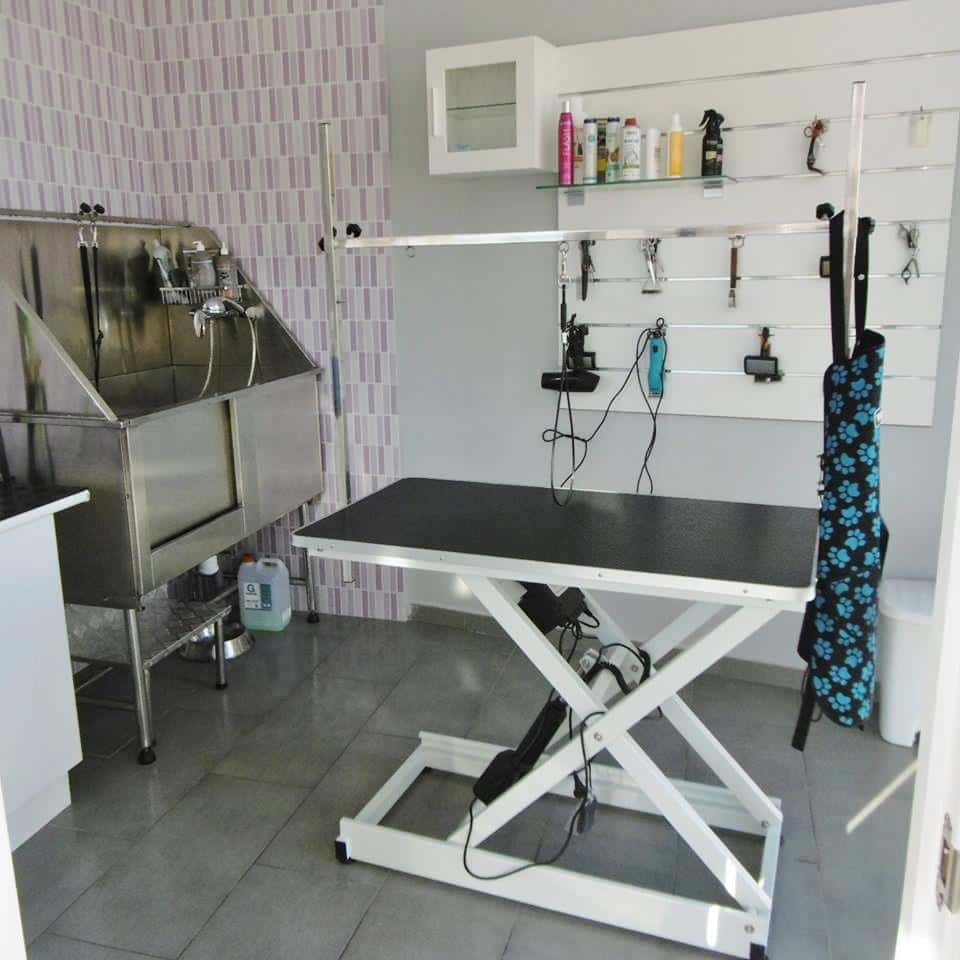 Centro Veterinario A Piringalla