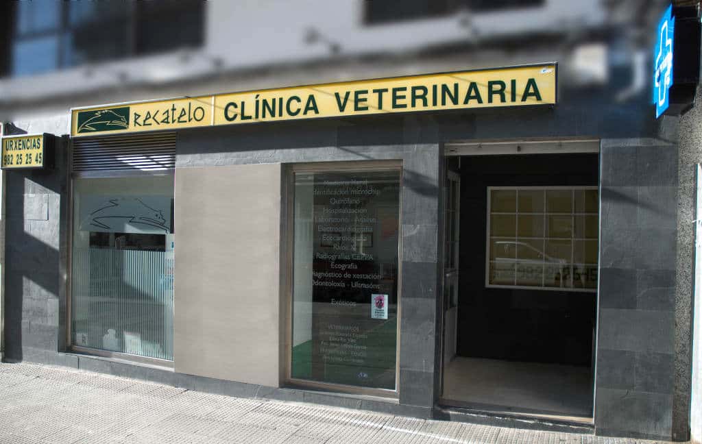 Clínica Veterinaria Recatelo