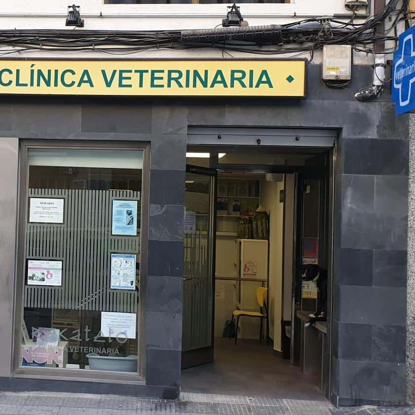 clinica veterinaria recatelo veterinario clinica barrio lugo en lugo en lugo principalImage ADOPTA Sitios Pet Friendly
