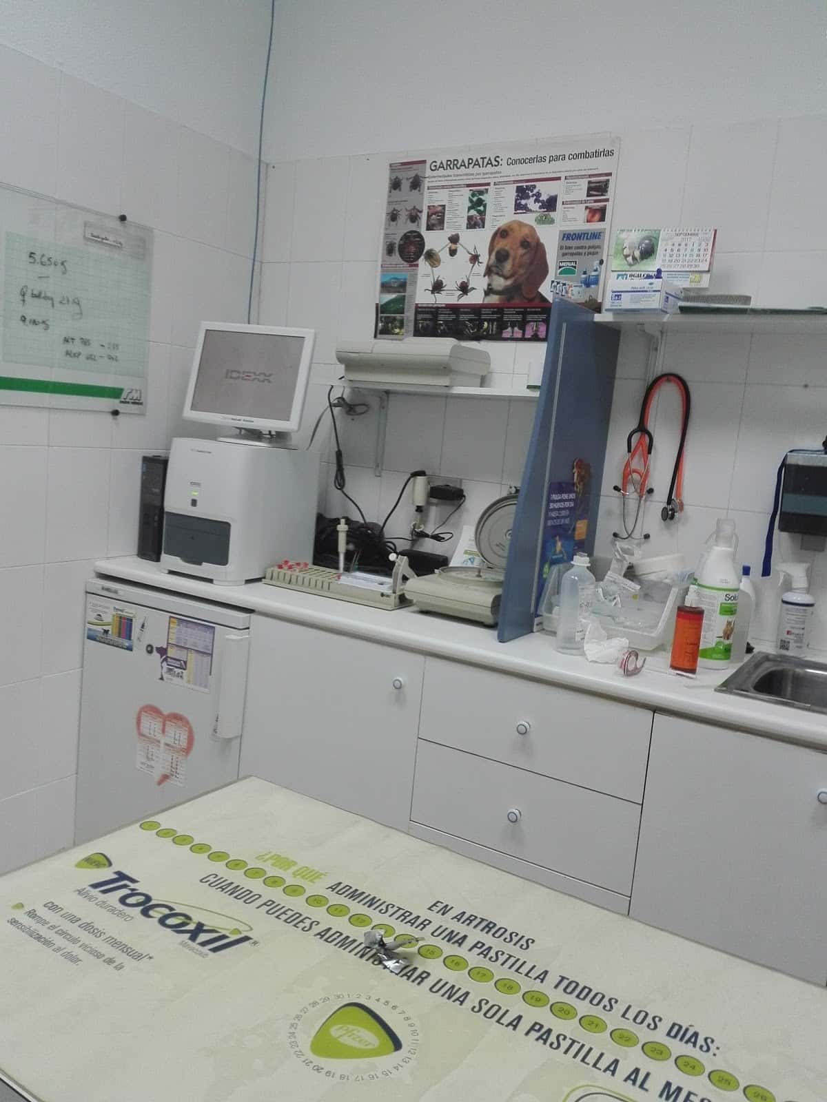 Clínica Veterinaria Otter