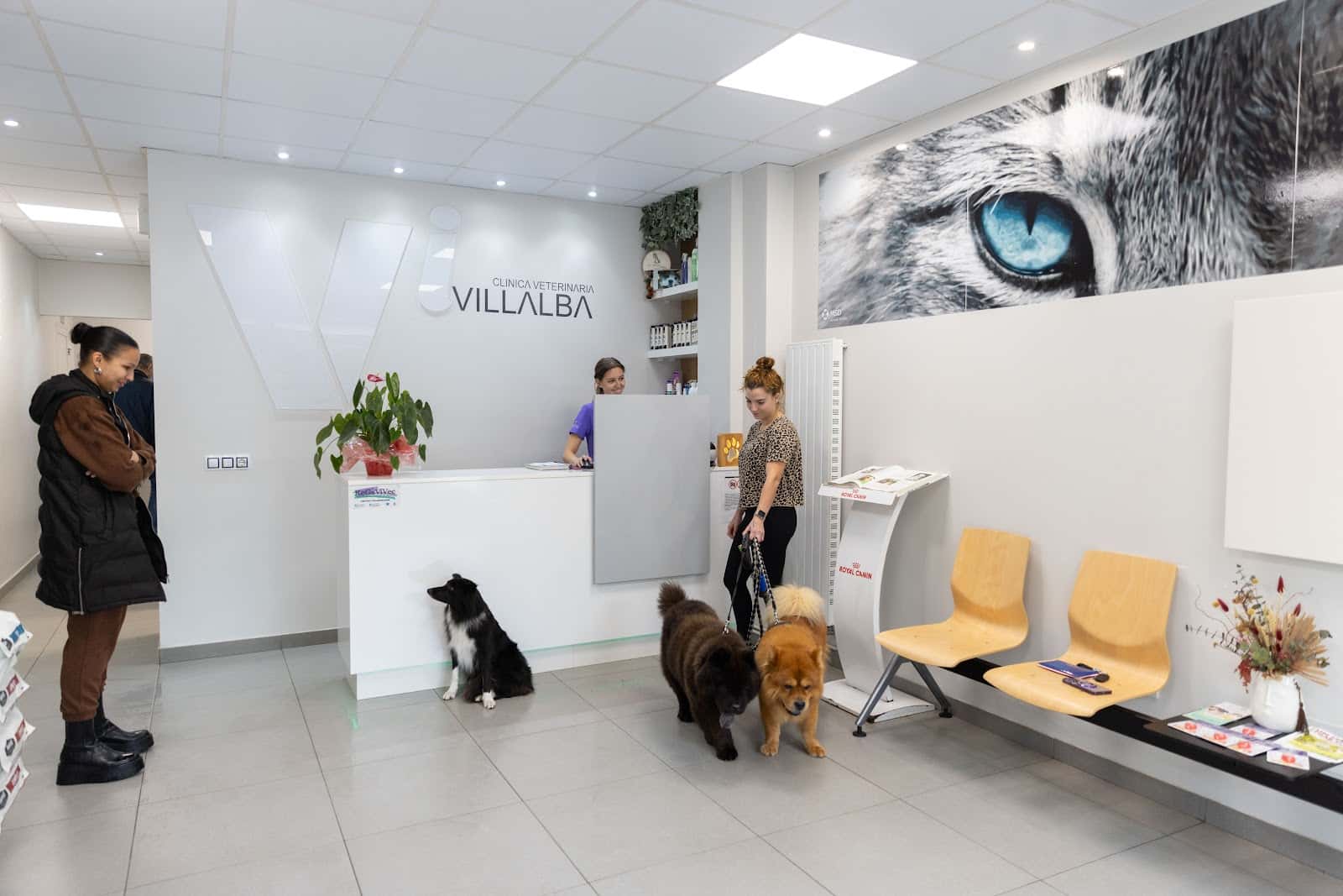 Clínica Veterinaria Villalba