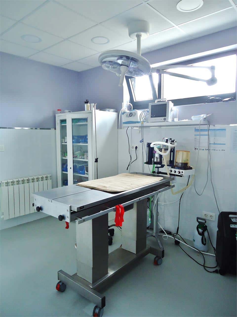Clinica Veterinaria Friol