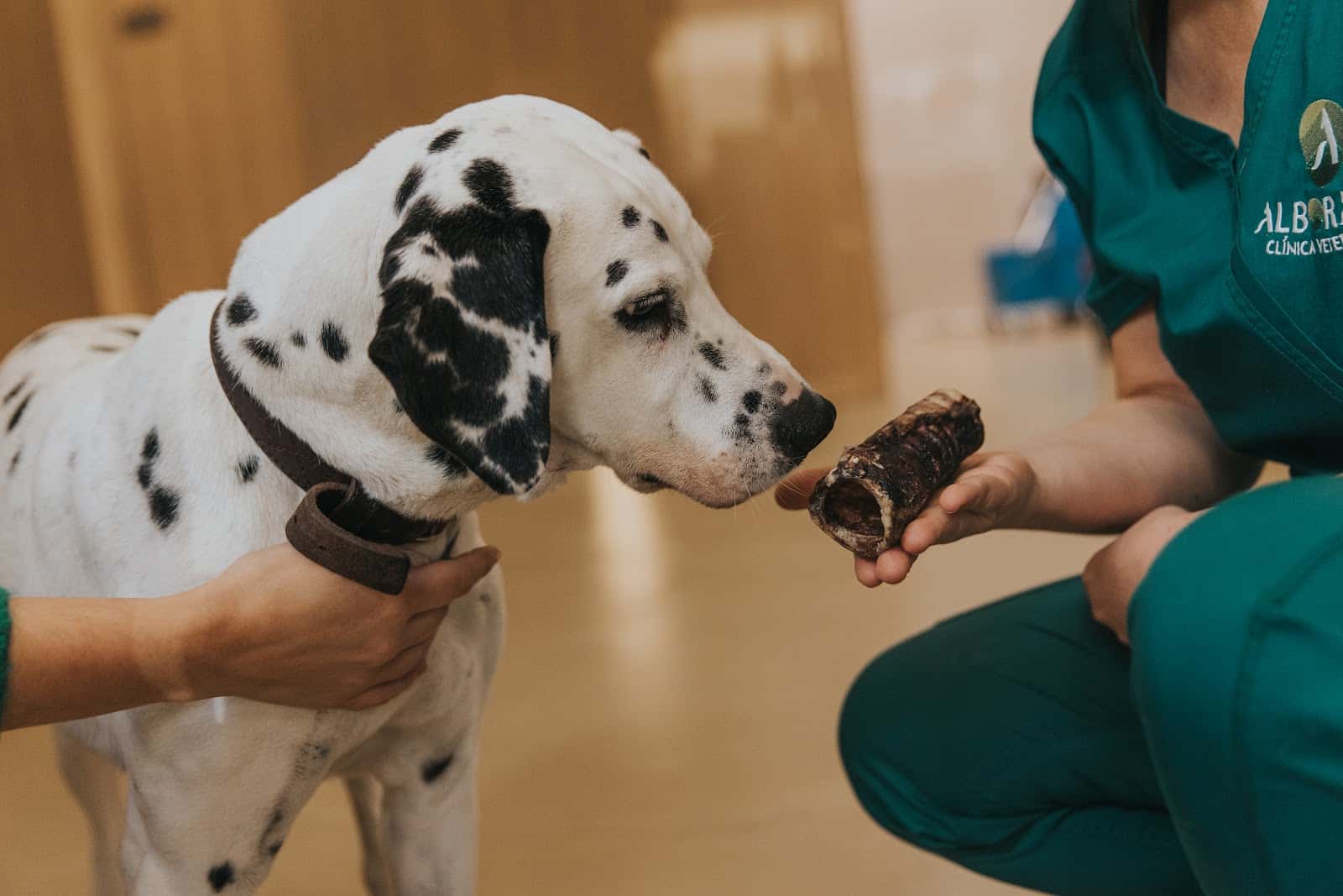 Clínica Veterinaria Alborada