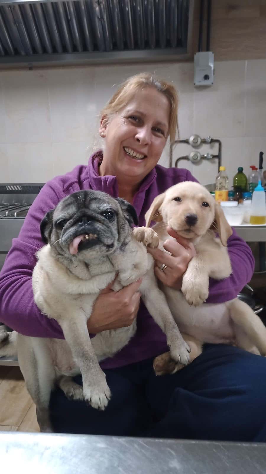 Clínica veterinaria Bitxiños