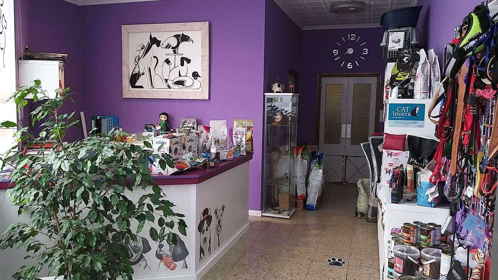 Centro Veterinario A Pontenova