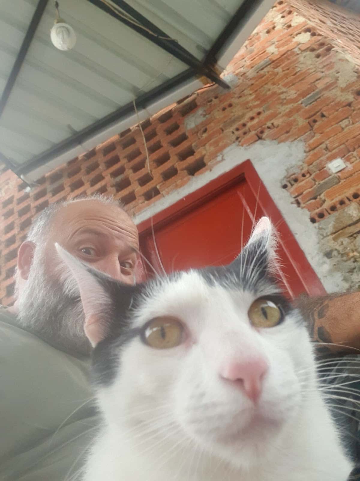 CLINICA VETERINARIA MONFORTE