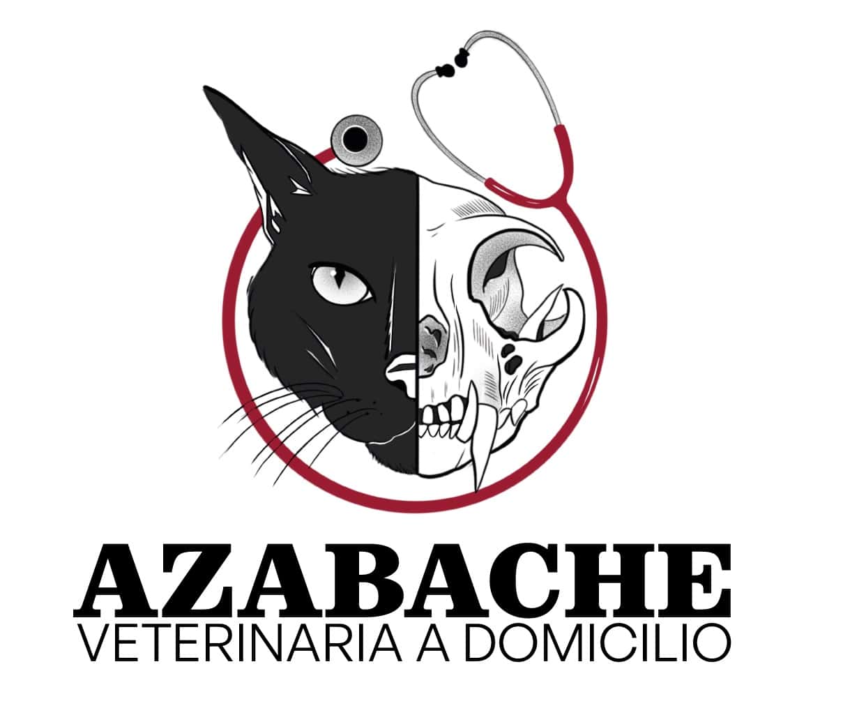 AZABACHE Veterinaria a Domicilio