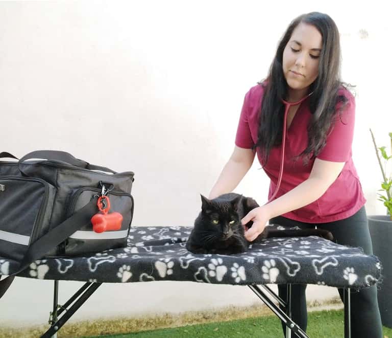 azabache veterinaria a domicilio veterinario a domicilio en ribadeo en lugo principalImage ADOPTA Sitios Pet Friendly
