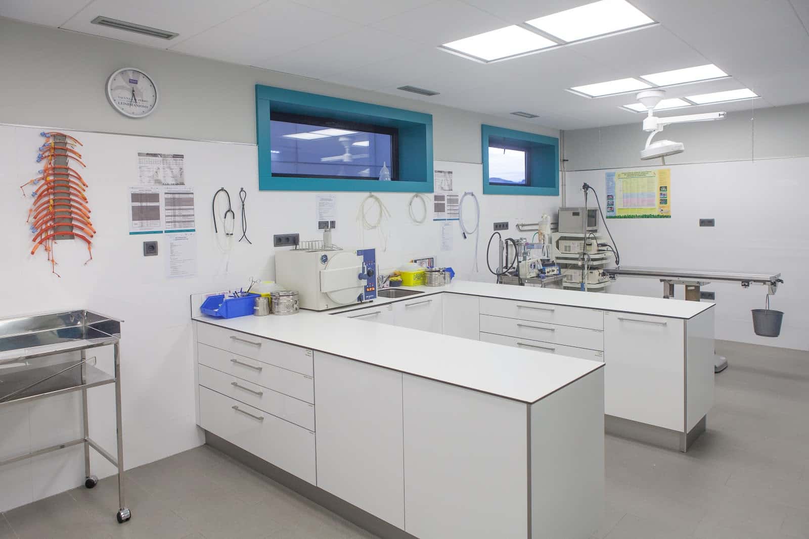TAPIA Hospital Veterinario