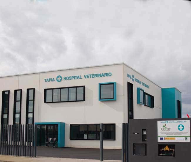 tapia hospital veterinario veterinario hospital en tapia de casariego en asturias principalImage ADOPTA Sitios Pet Friendly