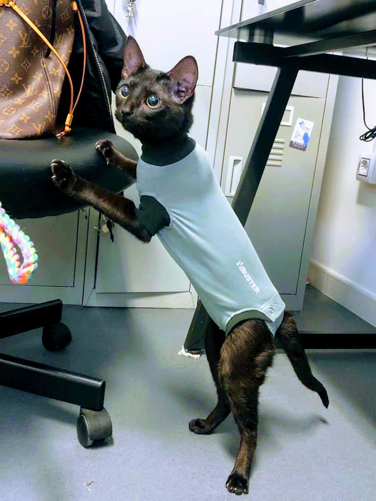 La Chopera Hospital Veterinario