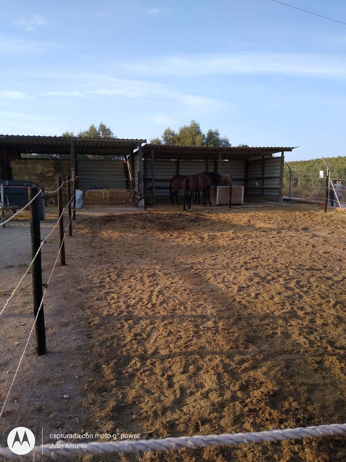 Centro Veterinario Mollina
