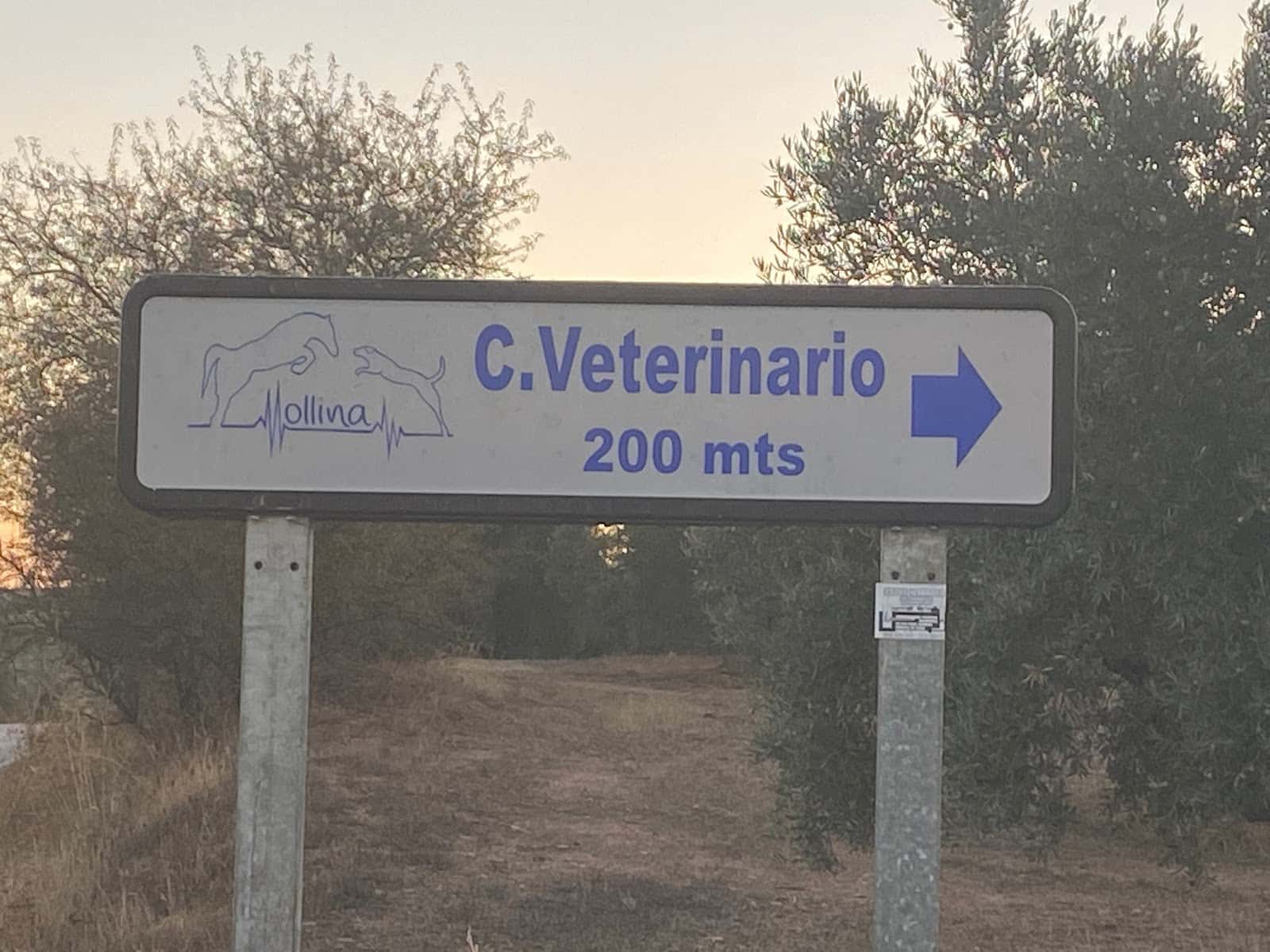 centro veterinario mollina veterinario centro en mollina en malaga principalImage ADOPTA Sitios Pet Friendly